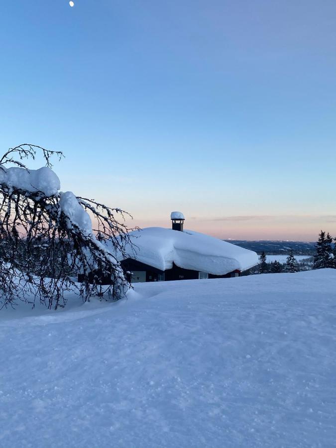 Cabin In The Mountain, Outstanding View & Solar Energy Vollen Exteriör bild