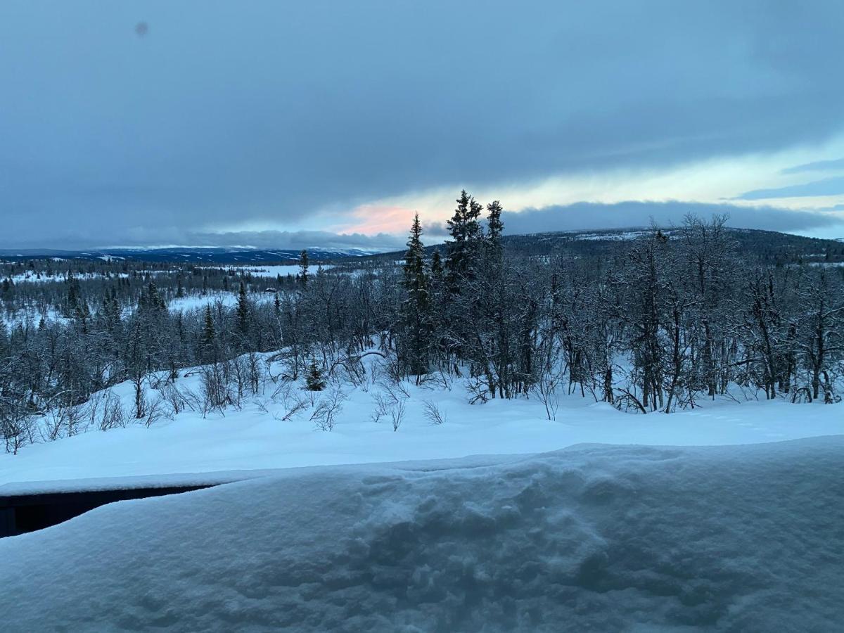 Cabin In The Mountain, Outstanding View & Solar Energy Vollen Exteriör bild
