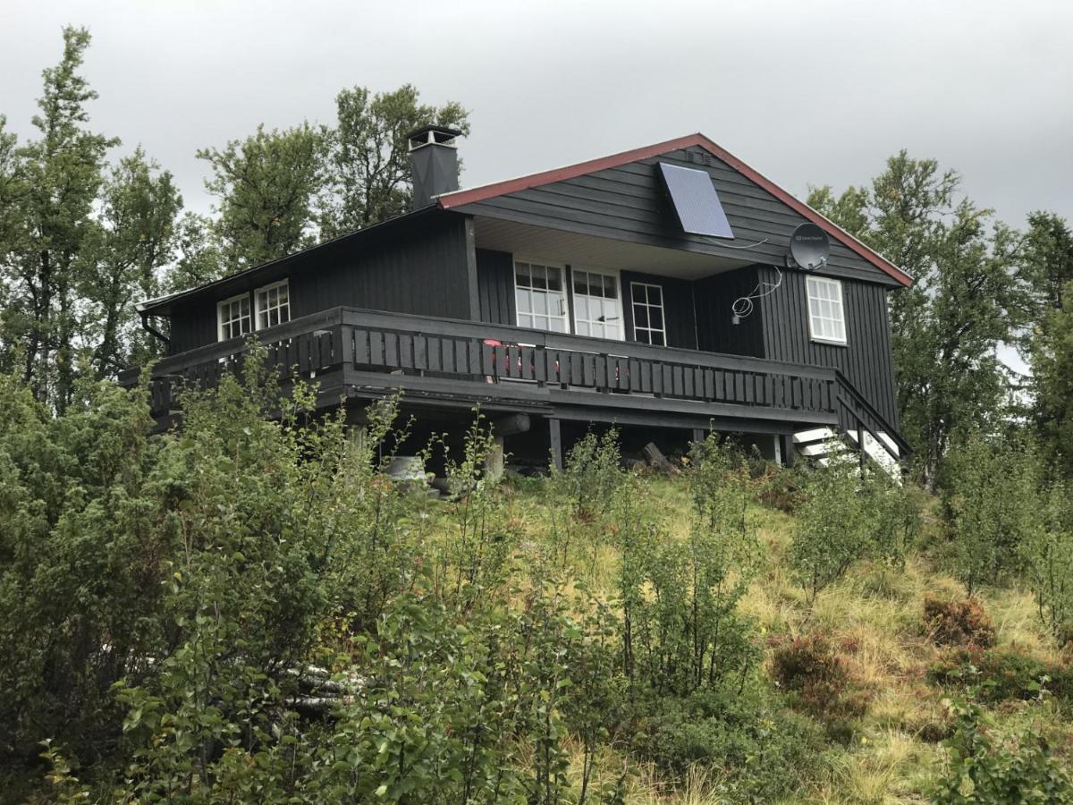 Cabin In The Mountain, Outstanding View & Solar Energy Vollen Exteriör bild